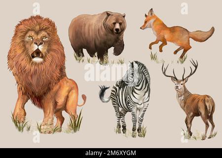 Various wild animals collection vector Stock Vector
