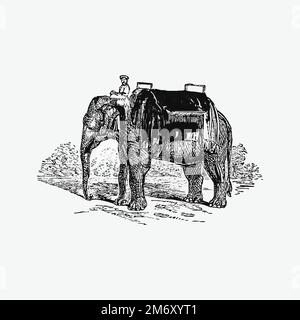 Vintage elephant illustration vector Stock Vector