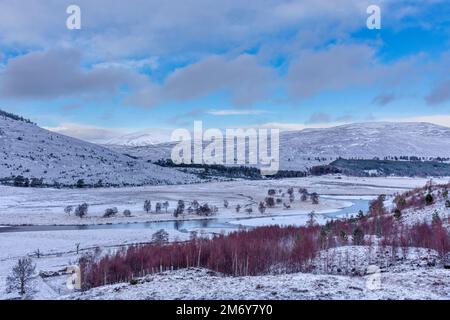 Braemar Scotland Linn of Dee looking across the snow covered valley with row of purple birch trees in winter Stock Photo