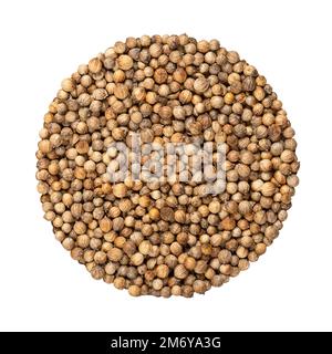 Coriander seeds, circle, close-up, isolated, from above. Disk made of whole dried fruits of Coriandrum sativum also known as Chinese parsley, a spice. Stock Photo