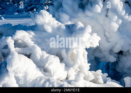 Branches of a tree totally covered in hoar frost on a sunny day in Ore Mountains. Stock Photo