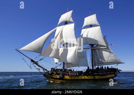 Czech replica brig, Turku race start, 2017 Stock Photo