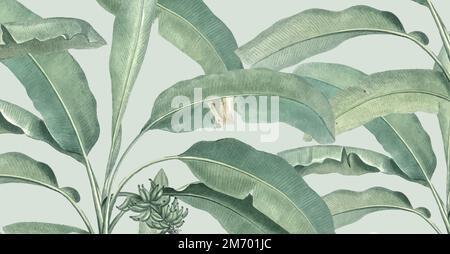 Banana leaf background vintage illustration Stock Vector