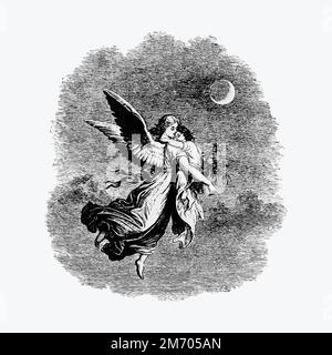 Vintage Victorian style angle engraving vector Stock Vector