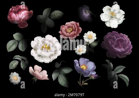 Beautiful hand drawn various roses collection vector Stock Vector