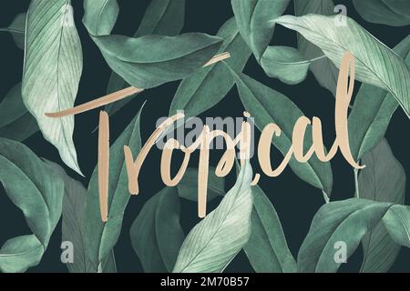 Hand drawn tropical leaves background vector Stock Vector