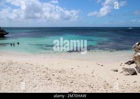 ocean indian at little parakeet bay rottnest island in australia Stock Photo