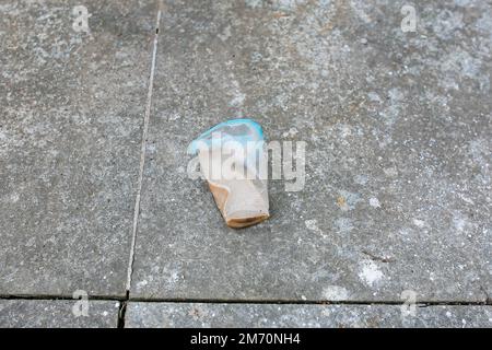 trash near the house and started to decompose Stock Photo