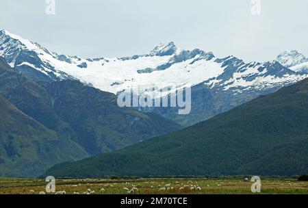 Rob Roy glacier - Mt Aspiring NP, New Zealand Stock Photo