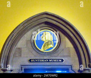 Glasgow, Scotland, UK 6th January, 2023.  William hunter gold cameo over the entrance to the hunterian museum at the university of Glasgow. Credit Gerard Ferry/Alamy Live News Stock Photo