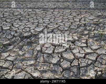 Cracked soil background. Dry cracked field. Natural texture of soil with cracks. Large cracks in the ground. Stock Photo
