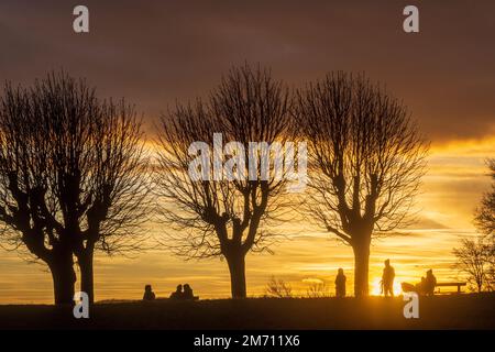 Wien, Vienna: meadow and viewpoint Bellevuewiese, leafless trees, fiery sunset, people on bench, people as silhouette in 19. Döbling, Wien, Austria Stock Photo