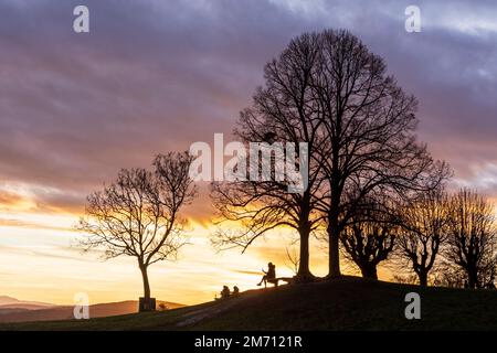 Wien, Vienna: meadow and viewpoint Bellevuewiese, leafless trees, fiery sunset, woman on bench, people as silhouette in 19. Döbling, Wien, Austria Stock Photo