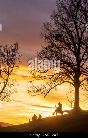 Wien, Vienna: meadow and viewpoint Bellevuewiese, leafless trees, fiery sunset, woman on bench, people as silhouette in 19. Döbling, Wien, Austria Stock Photo