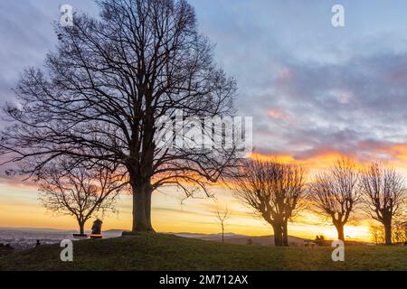 Wien, Vienna: meadow and viewpoint Bellevuewiese, leafless trees, fiery sunset, woman on bench, people as silhouette in 19. Döbling, Wien, Austria Stock Photo