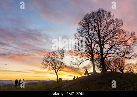 Wien, Vienna: meadow and viewpoint Bellevuewiese, leafless trees, fiery sunset, woman on bench, people as silhouette in 19. Döbling, Wien, Austria Stock Photo