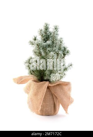 Small green decorative Christmas tree wrapped in burlap stand over white background Stock Photo