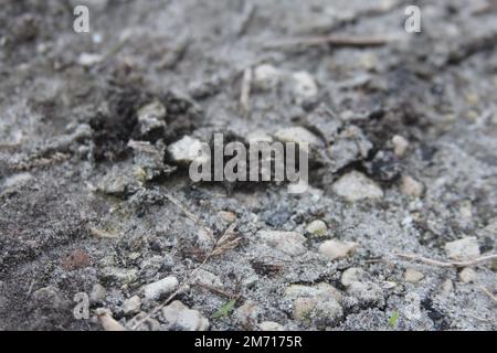 Close up of gravel and rocks Stock Photo