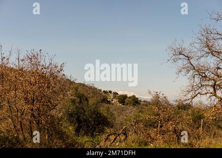 View of a rural location in Crete with trees and bushes on a spring day. In the background the Psiloritis mountain covered with snow Stock Photo