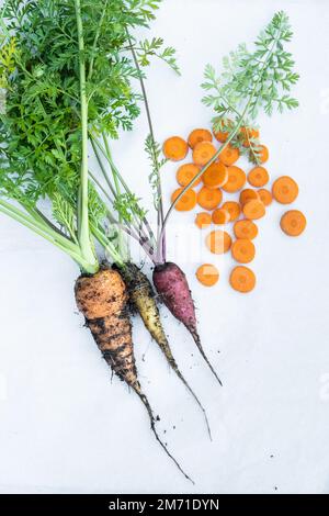 Freshly harvested rainbow carrots covered in soil with sliced carrots seen from overhead. Stock Photo