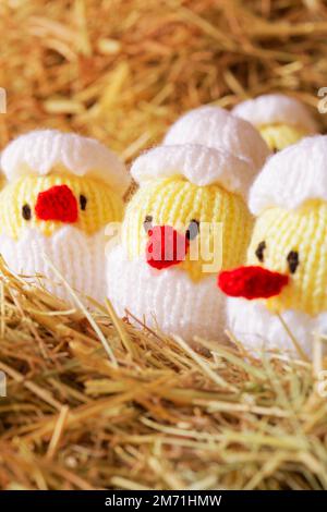 Knitted toy chicks hatching from an egg , on a hay straw background.  Easter concept Stock Photo