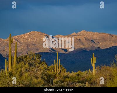 Mazatzal mountains from the North Trail, McDowell Mountain Regional Park, Fountain Hills, Arizona. Stock Photo