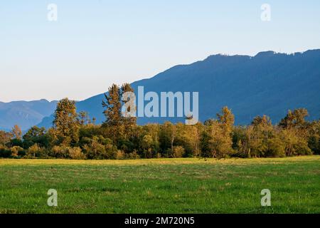 Smaller peaks of the Cascade Mountain range rise above green grass and deciduous trees at Meadowbrook Farm in Snoqualmie, Washington, USA. Stock Photo