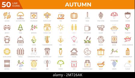 Set of 50 Autumn icons in colored line style. Leaves, berries, sweater. Colored outline icons collection. Vector illustration Stock Vector