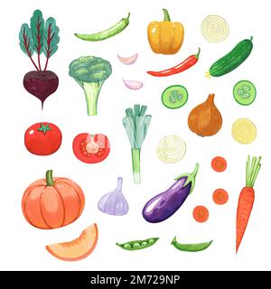 Big set of vegetables. Isolated hand drawn elements in simple cartoon watercolor style. Vector illustration  Stock Vector