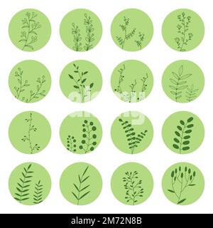 Collection of floral round icons in green color. Set of various vector highlight covers for social media stories. Hand drawn templates. Vector illustr Stock Vector