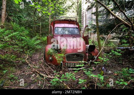 Alsace, France - February 05 2012: A demolished Citroen 2CV van was abandoned in woods. Stock Photo
