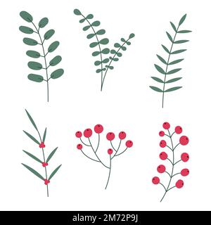 Hand drawn winter leaves and branches. Set of plants with flowers, spruce branches, leaves and berries. Vector illustration Stock Vector