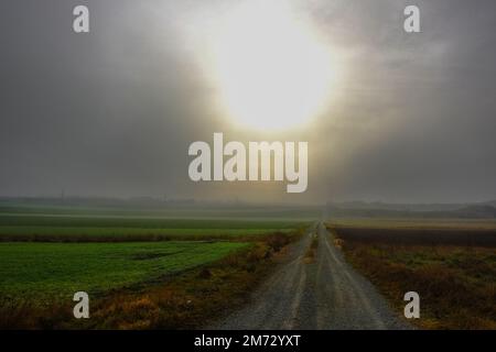long dirt road through the fields with bright sun and fog in the winter Stock Photo