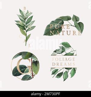 Tropical botanic logo collection vector Stock Vector
