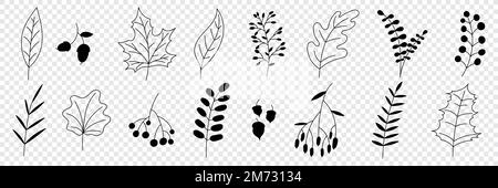 Hand drawn autumn collection with seasonal plants and leaves. Set of hand drawn plants, leaves, flowers. Silhouettes of natural elements for seasonal Stock Vector