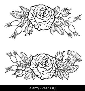 Bouquet and borders of rose and cherry flowers, branches and leaves. Vector Coloring book for adults, elements for packaging design of cosmetics, medi Stock Vector