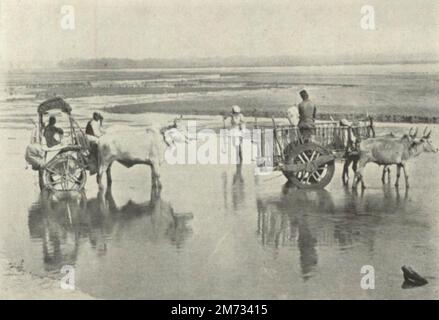 Fording an Indian River Stock Photo - Alamy