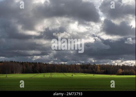 Dramatic sky with dark rain clouds over  green agricultural field with tractor tracks in autumn landscape Stock Photo