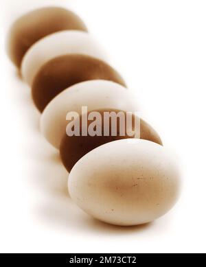 row of colored eggs, isolated Stock Photo