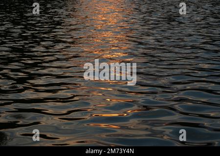 Dark blue water surface with ripples and golden sun light reflected on it at sunset. Natural background. Stock Photo