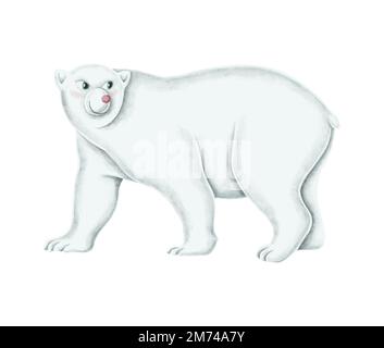 Hand-drawn walking white polar bear Stock Vector