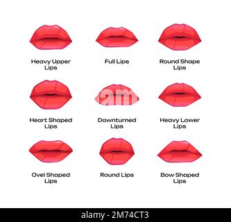 Types of woman lips. Different shapes of female mouth thin full bow-shaped downward round heavy, cartoon colorful girl sensuality symbols. Vector set Stock Vector