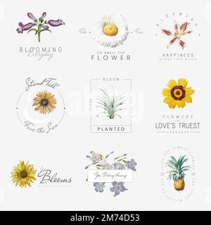 Hand drawn flowers with positive quotes vector set Stock Vector
