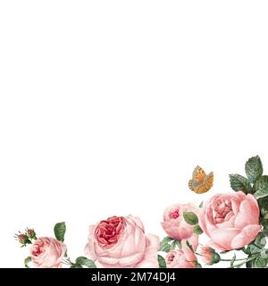 Hand drawn pink roses frame on white background vector Stock Vector