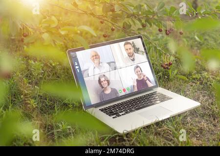 Watching Online Video Conference Meeting In Office Stock Photo