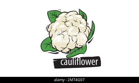 Cauliflower Hand Drawn Vector Illustration Vegetable Stock Vector (Royalty  Free) 439610197 | Shutterstock