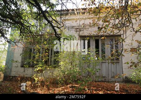 Old abandoned building with broken windows. Building is overgrown with bushes and trees. Stock Photo
