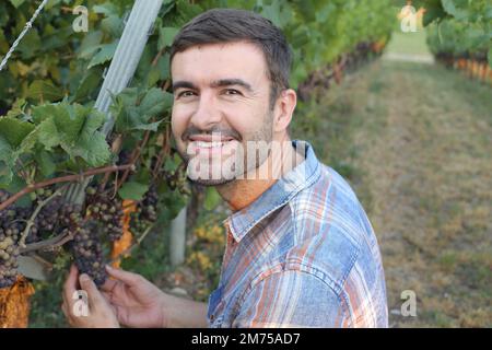 Farmer in his successful vineyard Stock Photo