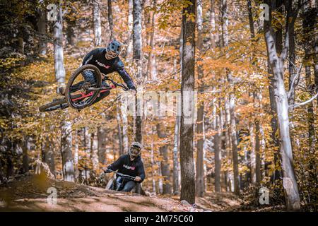 A shot of riders wearing holeshotpunx hoodies while doing bike tricks in a forest Stock Photo