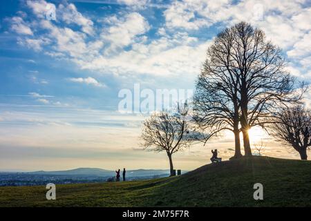 Wien, Vienna: meadow and viewpoint Bellevuewiese, leafless trees, sunset, people as silhouette in 19. Döbling, Wien, Austria Stock Photo